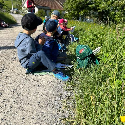 Kinder sitzen in der Wiese 