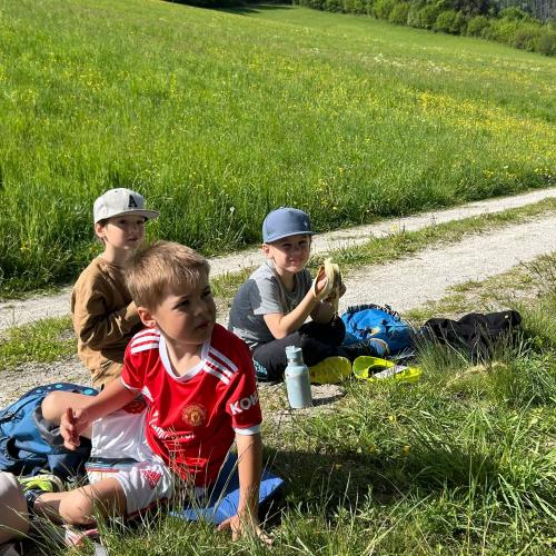 Kinder sitzen in der Wiese 