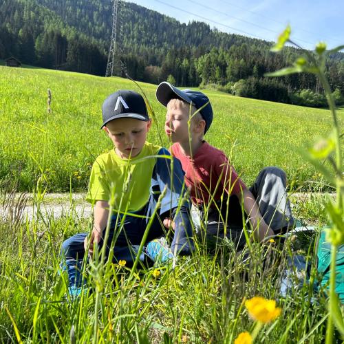 Kinder sitzen in der Wiese 