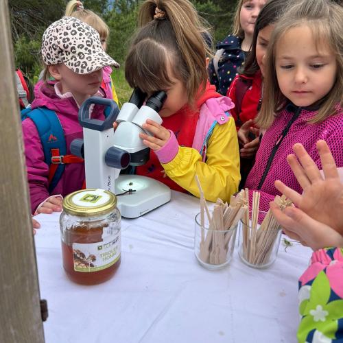 Kinder beim Honig verkosten