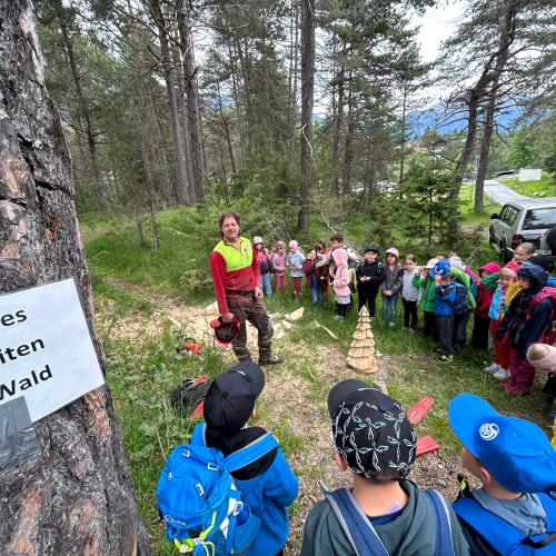 Kinder im Wald 