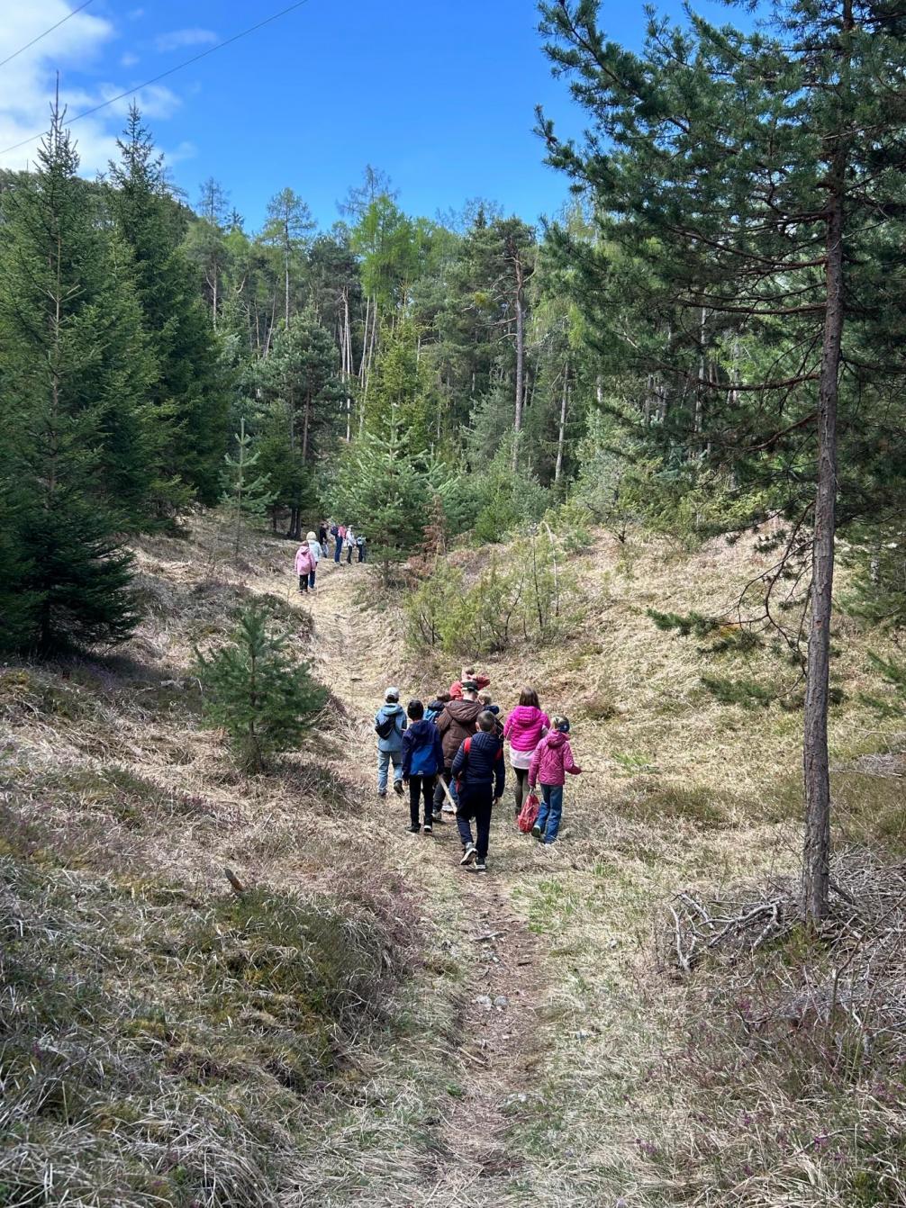 Kinder im Wald