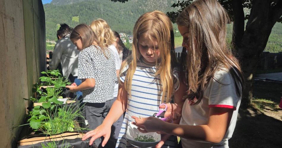 Die 3b-Klasse gärtnert in Kisten